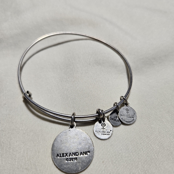 Alex and Ani Silver Aruba Charm Bracelet - Picture 2 of 2